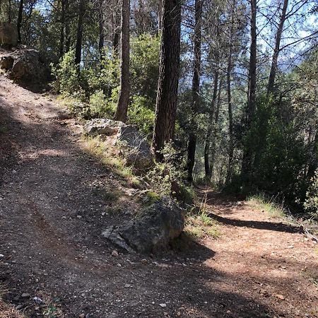 Casas Rurales Arroyo De La Sierra Єсте Екстер'єр фото